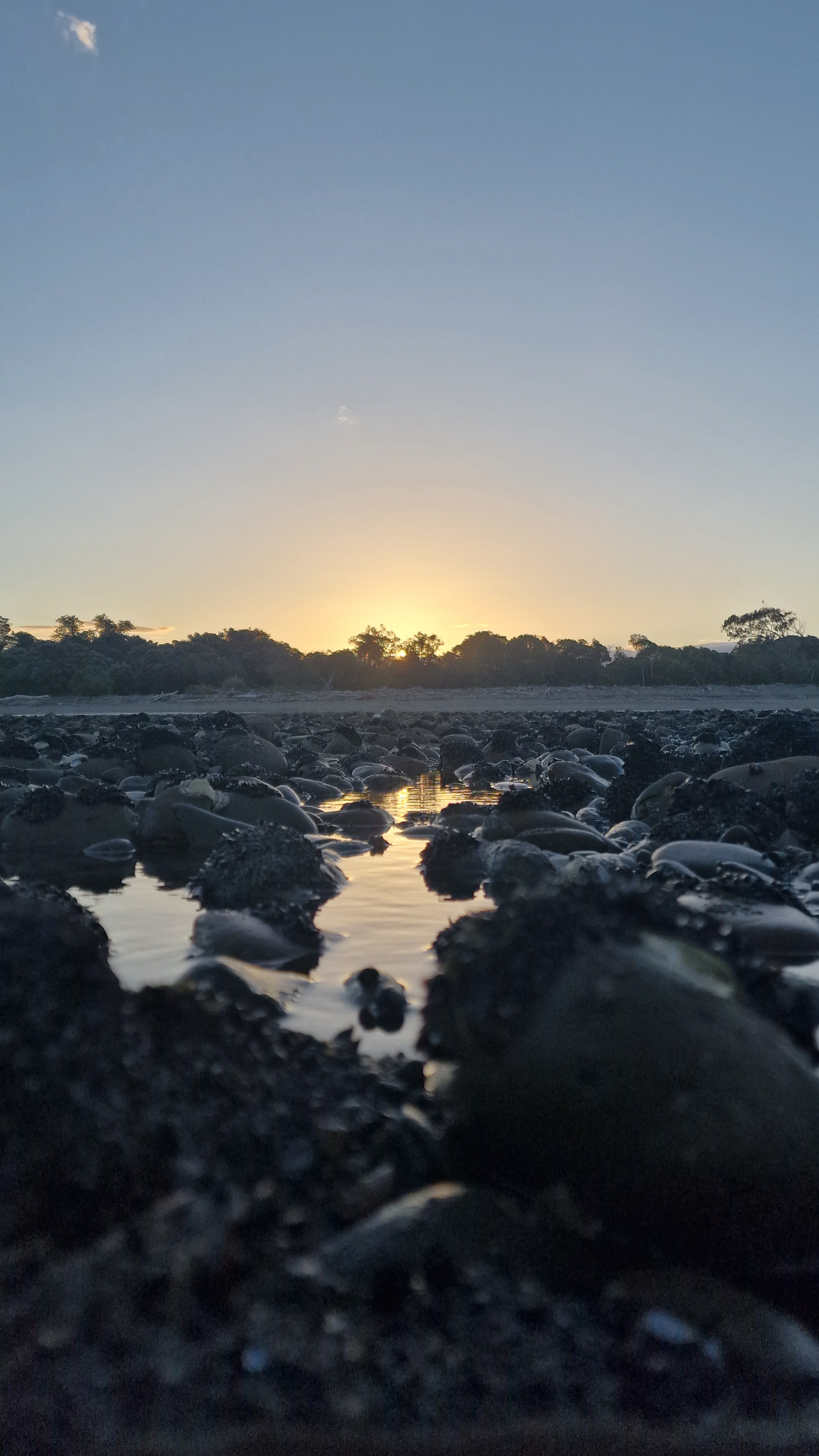 Beach Sunset